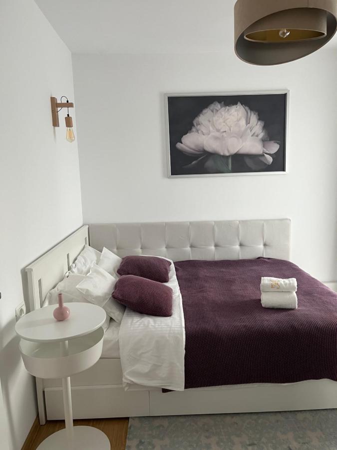 Alma Apartments Szucsáva Kültér fotó